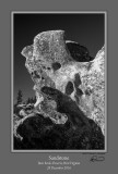 Sandstone 1 BW Bear Rocks.jpg