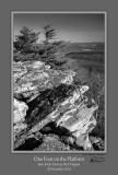 One Foot Platform Bear Rocks BW.jpg