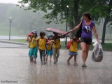 Un peu de pluie! Some rain!