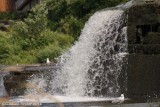 Barrage Ste-Martine