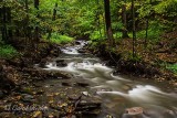 The Stream to Tinker's Falls
