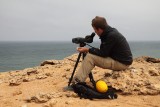 Seawatching near Tan-tan