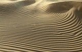 Sahara