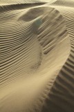 Sahara
