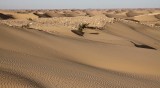Sahara