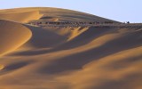 Sahara