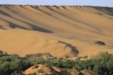 Sahara