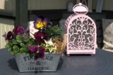 Garden still life