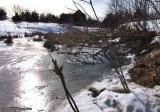 Pond in late winter - 2010