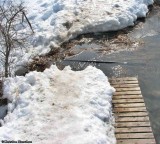 Bridge swamped by water from the pond - late winter 2008