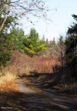 Fletcher Wildlife Garden