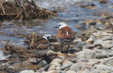 Luke and companion working shore at 1st pulloff - May 27, 2013  [2 of 2]