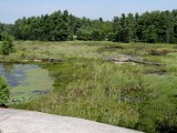 Swan Lake Trail