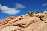 Arches and Canyonlands NP