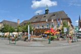Trèfle du Pfaffenschlick, Lembach, 6 juillet 2014
