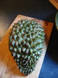 Durian shell
