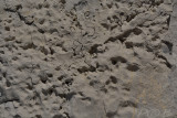 Geologie