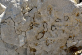 Geologie
