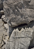 Geologie