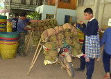 Durian farmers