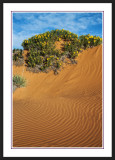 Coral Pink Sand Dunes