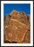 Southwest: Three Rivers Petroglyph Site
