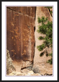 Shay Canyon