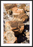 Petrified Forest National Park