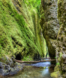 Oneonta Gorge