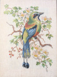 Bird, 1978