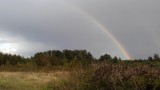 rainbow on my walk home