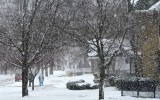 Snowy Street by Kaile Goodman
