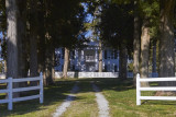 Cedars - Antibellum Home 