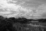 Cloudy Day at the Ponds