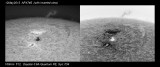 0206 2_refine2_diptych_reduce.jpg