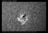 093413-4417_pp_RL5x5-100_shrp_proc_crop.png