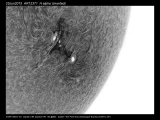 Ha_Disk_25Jun2015_pp_crop_ARL5x5shrp2_inv_proc.png