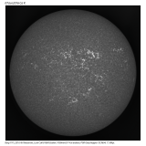 121341_reg_01_pp_ARL3x3shrp_proc_labels_siz.png