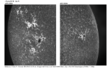 CaK_AR1-2_montage_frame_siz_labels.png