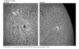 Ha_AR1-2_montage_frame_siz_labels.png