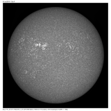 095903_reg_pp_proc0_shrp_proc_crop_frame_siz.png