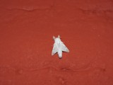 2016¸GBarrett__DSCN0489.JPG