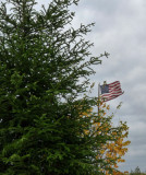 flag and fall.jpg