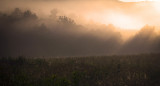 Sun Rays In Cades Cove