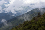 Clearing Skies Off Newfound Gap Road