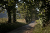 A Short Cut In The Cades Cove Loop