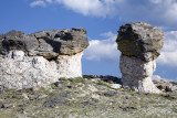 Mushroom Rocks-Trail Ridge Road