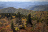 Afternoon Light And Fall Colors