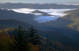 Morning Ground Fog