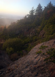 Morning On Mount Mitchell